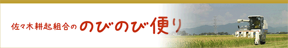 佐々木耕起組合ののびのび便り