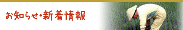 お知らせ・新着情報